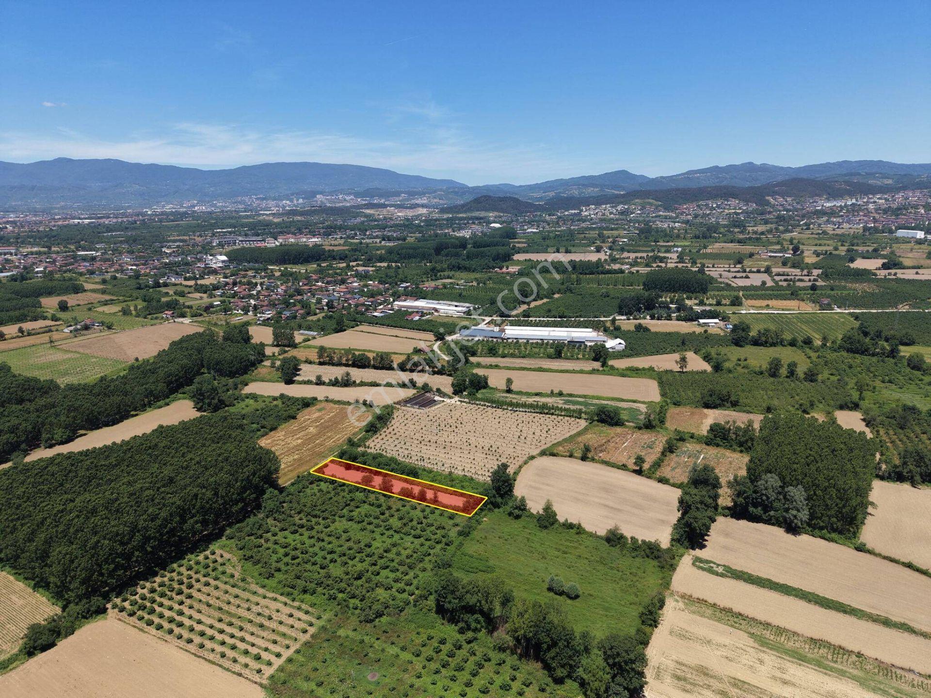 Gündolaması Köyü'nde 1365 M2 Satılık Arazi - Görsel 16