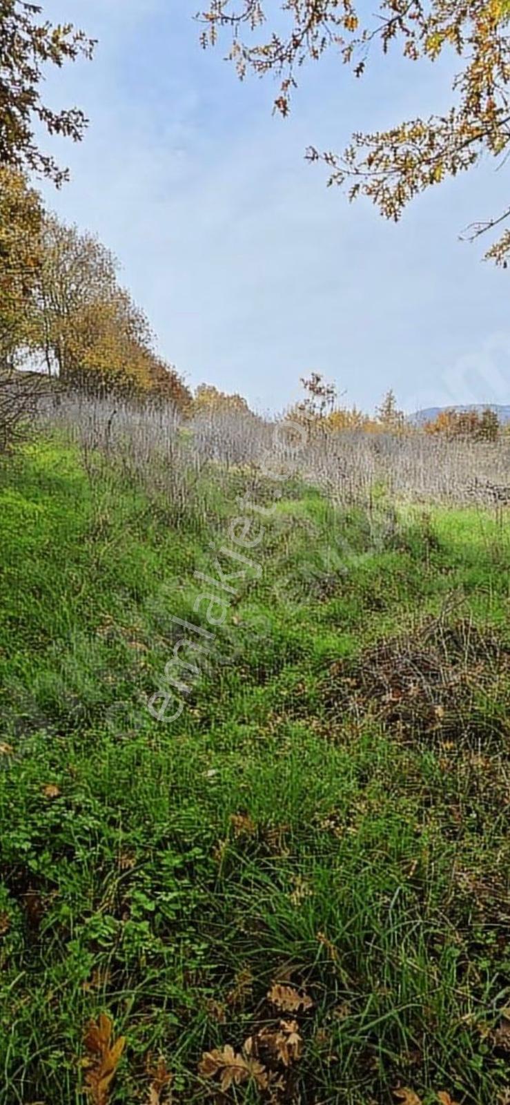 Çanakkale Çan Yaykın Köyü Satılık Arazi - Görsel 5