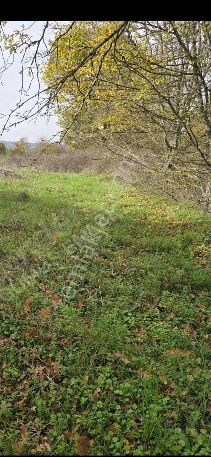 Çanakkale Çan Yaykın Köyü Satılık Arazi - Görsel 8