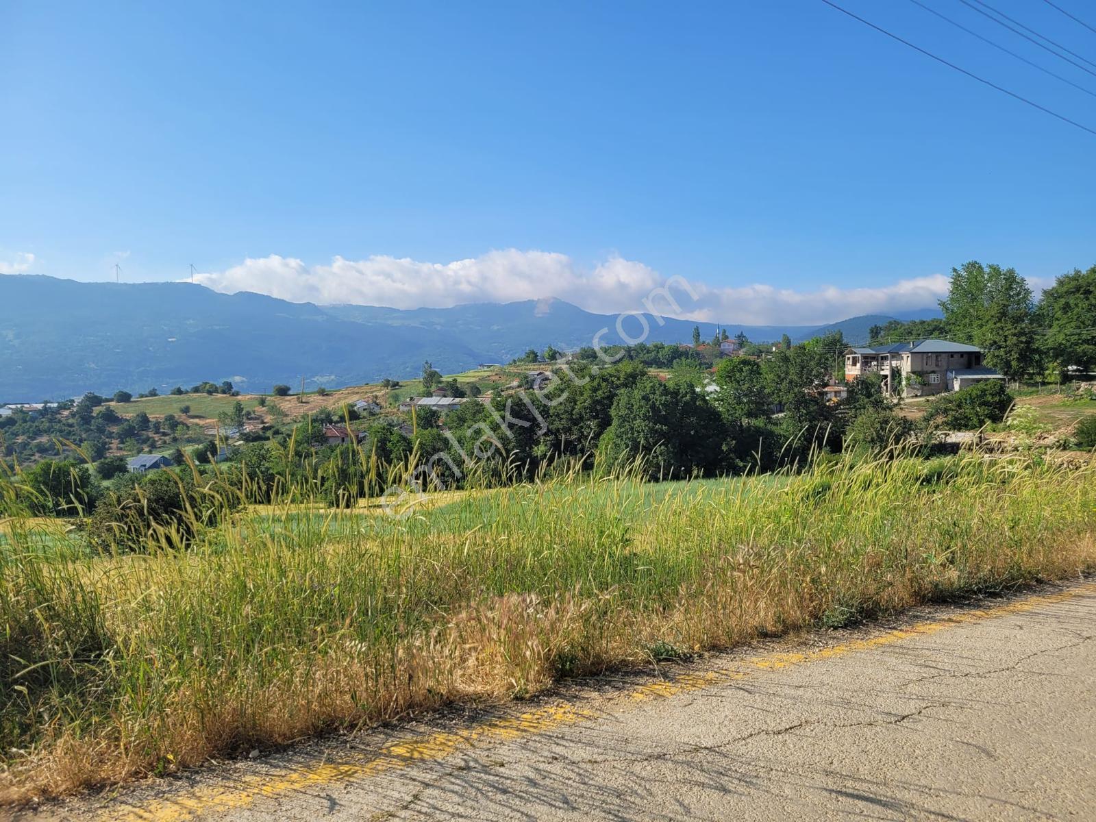 Sakarya Taraklı'da 6 Villa Projesine Uygun Konut İmarlı Arsa - Görsel 3