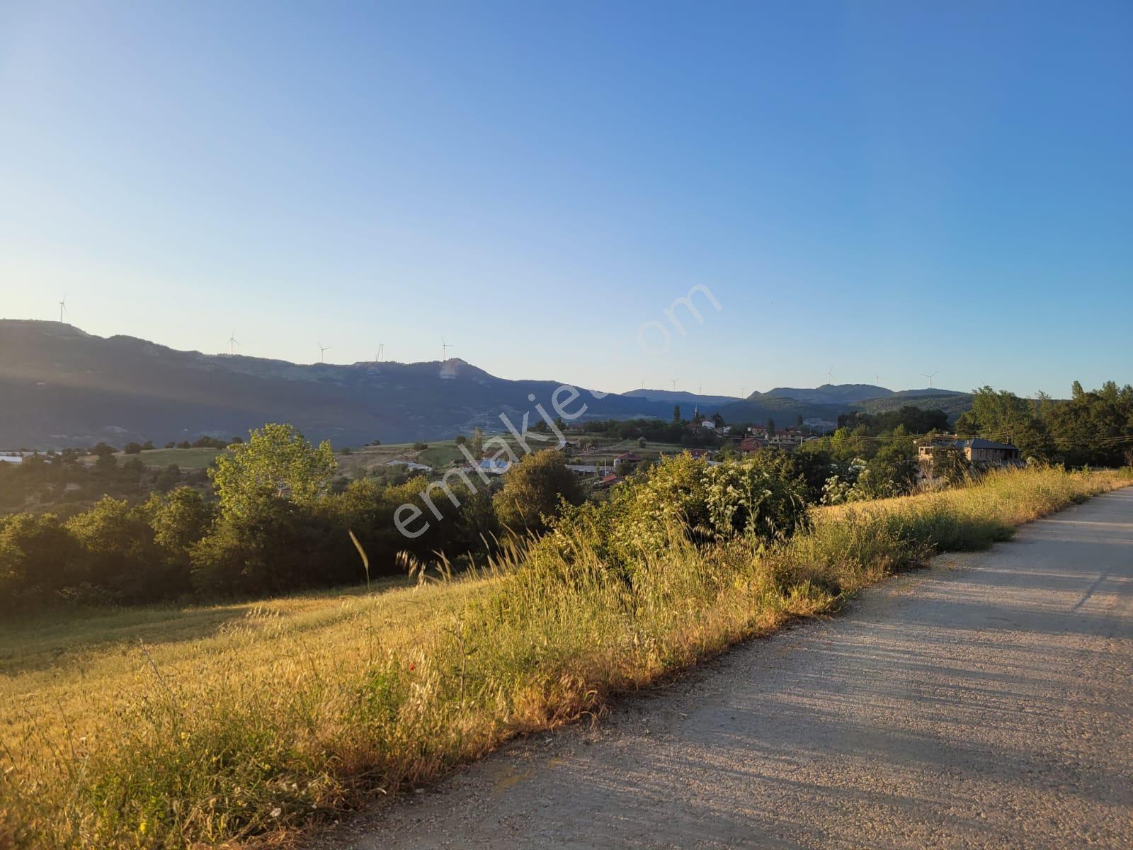 Sakarya Taraklı'da 6 Villa Projesine Uygun Konut İmarlı Arsa - Görsel 6