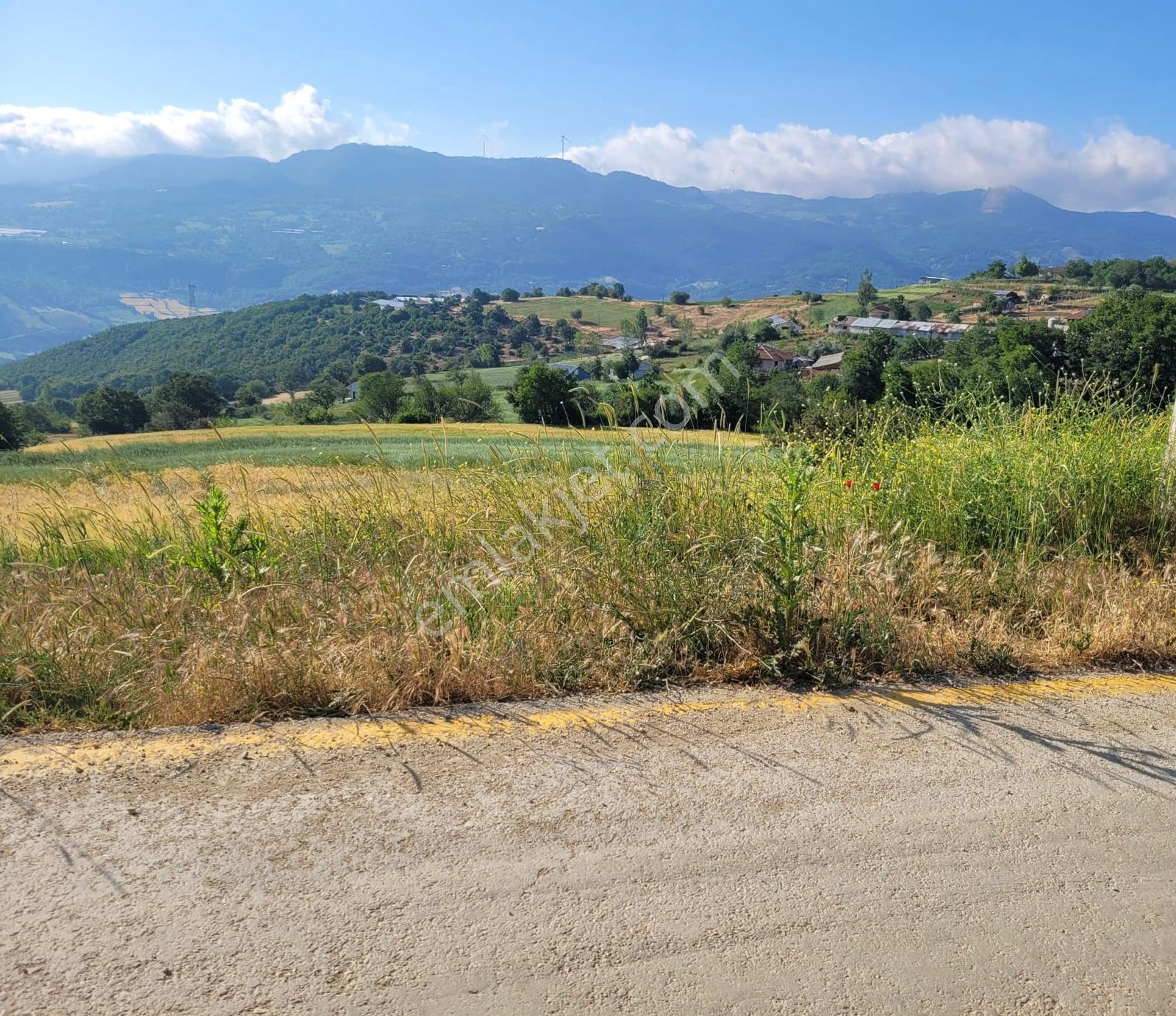 Sakarya Taraklı'da 6 Villa Projesine Uygun Konut İmarlı Arsa