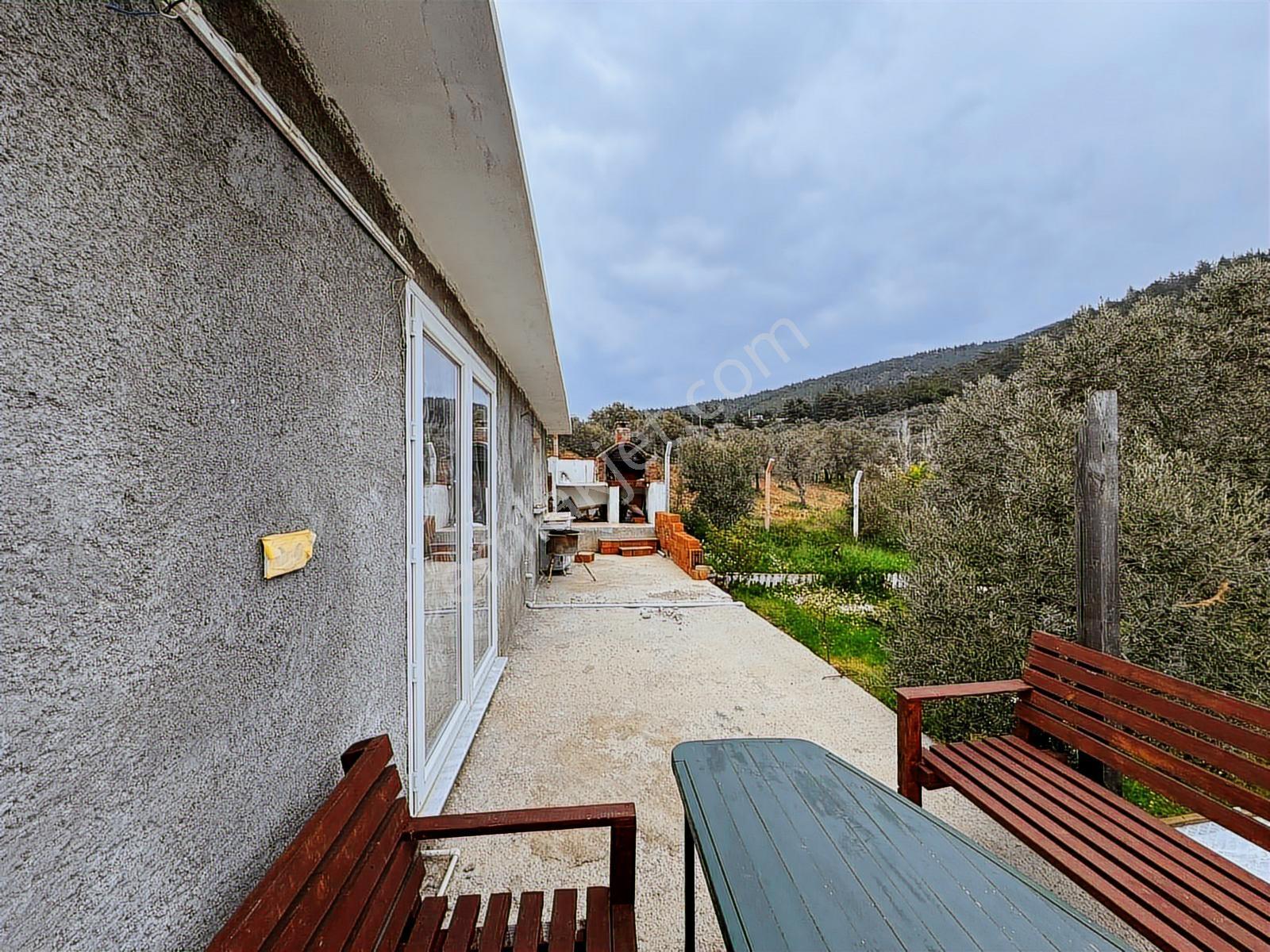 Dereköyde 1650 M² Bahçe + Ev - Görsel 13