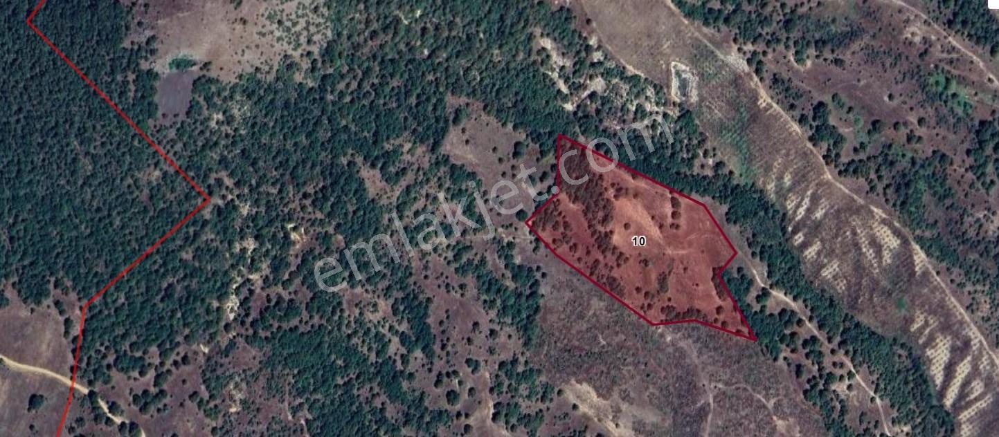 Dialog Altundan Orhaneli Kadıda Satılık 26 Dönüm Tarla - Görsel 4