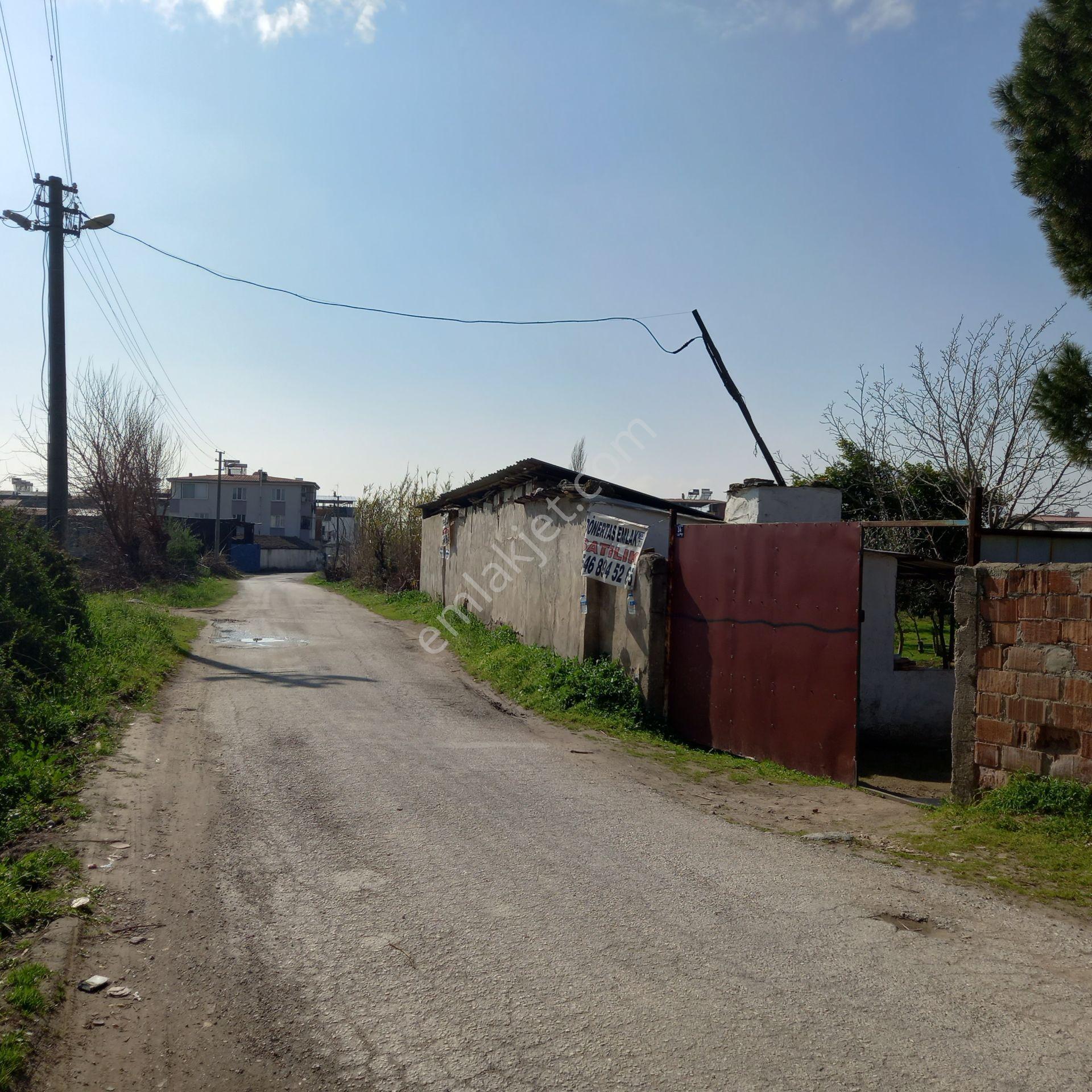 Dönertaş Emlaktan Aydın Nazilli Merkezde Arsa Bag Bahçe - Görsel 31