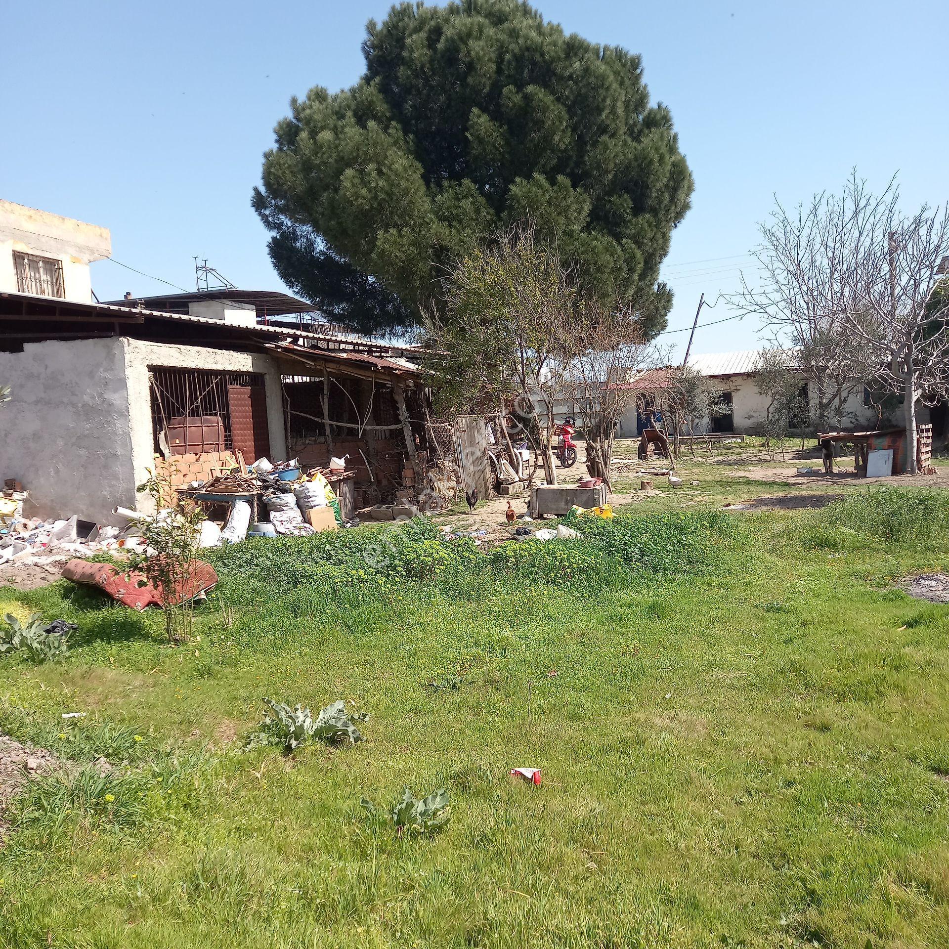 Dönertaş Emlaktan Aydın Nazilli Merkezde Arsa Bag Bahçe - Görsel 9