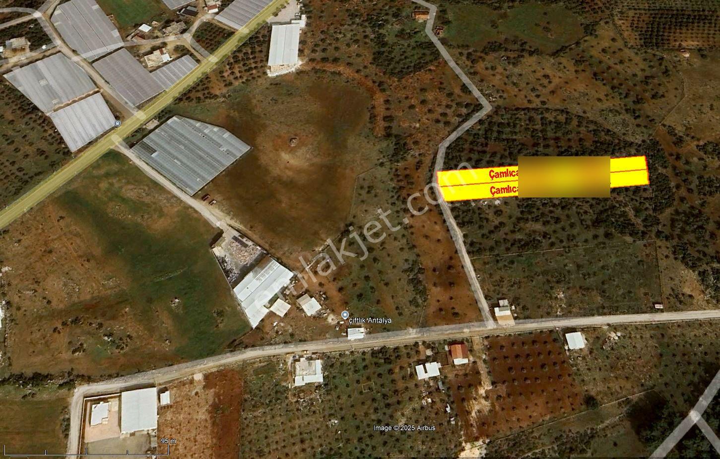 Kepez Çamlıca'da Satılık Zeytin Bahçeli Arazi (4413 M²) - Görsel 24