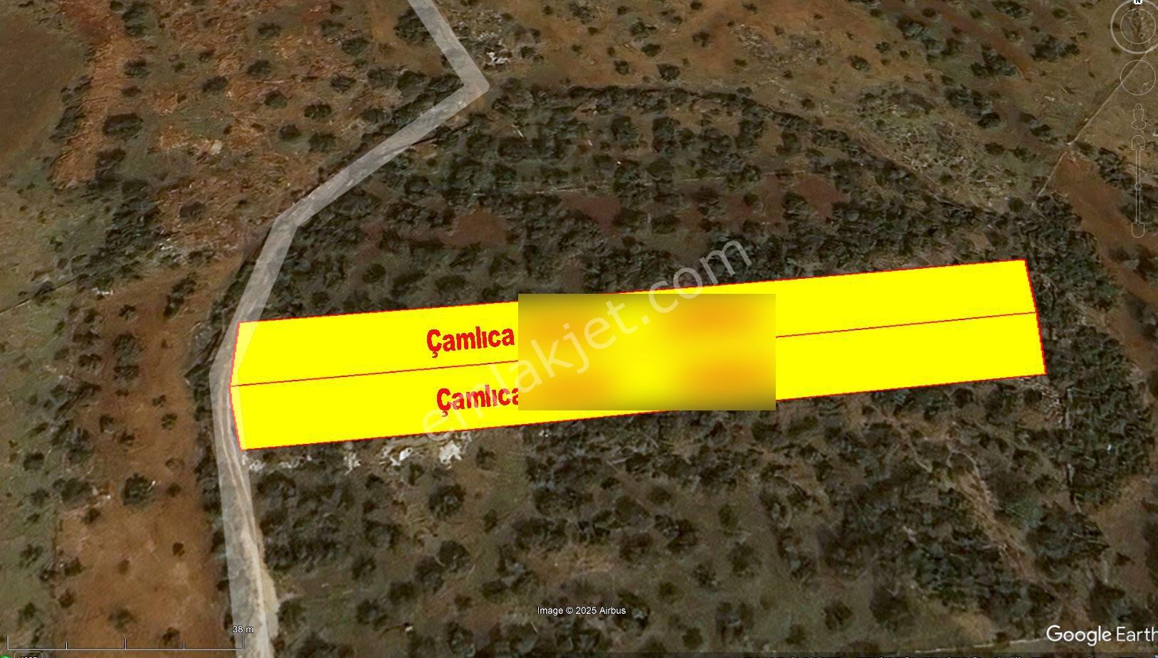 Kepez Çamlıca'da Satılık Zeytin Bahçeli Arazi (4413 M²) - Görsel 23