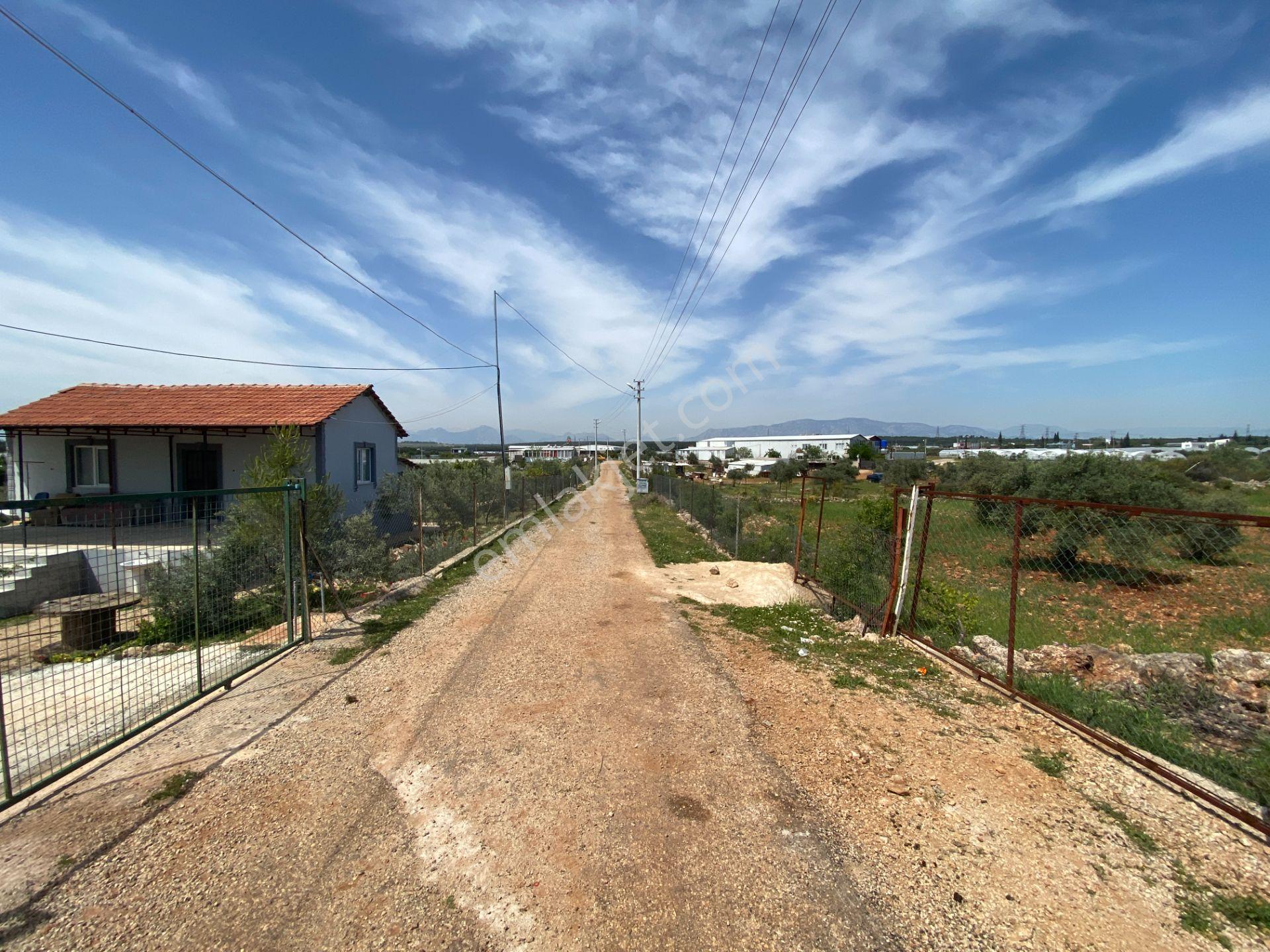Kepez Çamlıca'da Satılık Zeytin Bahçeli Arazi (4413 M²) - Görsel 20