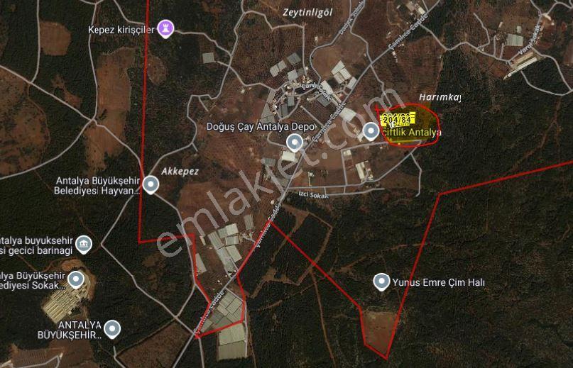 Kepez Çamlıca'da Satılık Zeytin Bahçeli Arazi (4413 M²) - Görsel 27