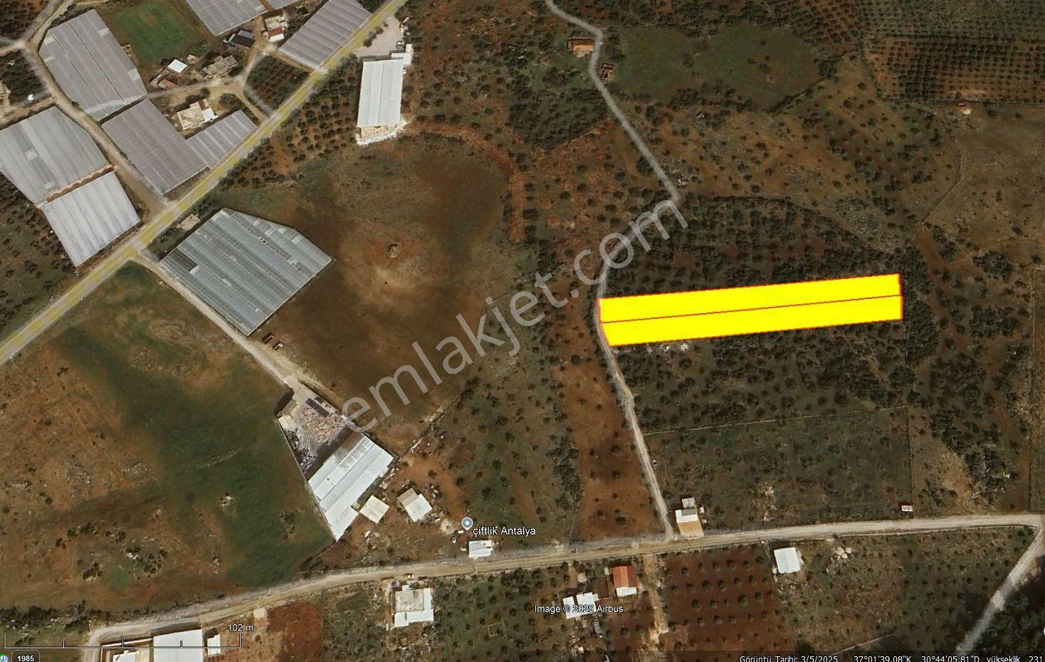 Kepez Çamlıca'da Satılık Zeytin Bahçeli Arazi (4413 M²) - Görsel 26