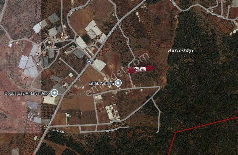 Kepez Çamlıca'da Satılık Zeytin Bahçeli Arazi (4413 M²) - Görsel 25