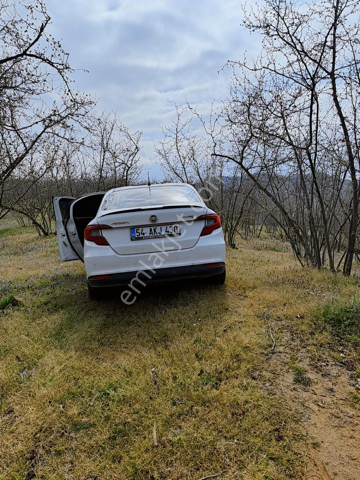 Deniz Manzaralı Köy Merkezinde Elektrik Su Yol Mevcut Fındıklık - Görsel 3