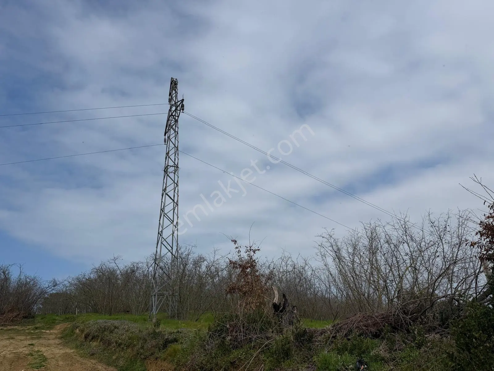 Deniz Manzaralı Köy Merkezinde Elektrik Su Yol Mevcut Fındıklık - Görsel 32