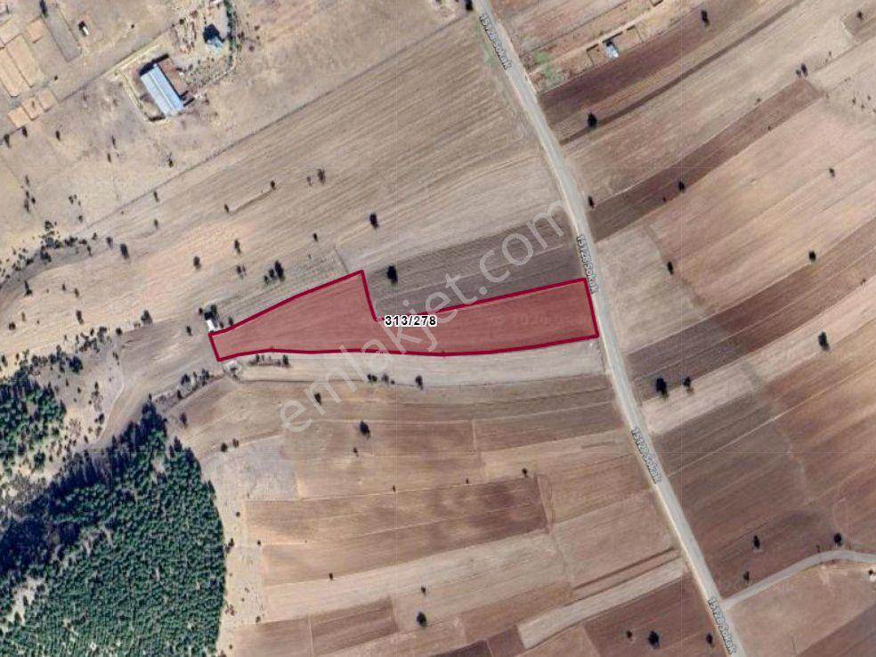 Korkuteli Bozova'da Satılık 13.694 M² Ana Yol Cepheli Arazi - Görsel 10
