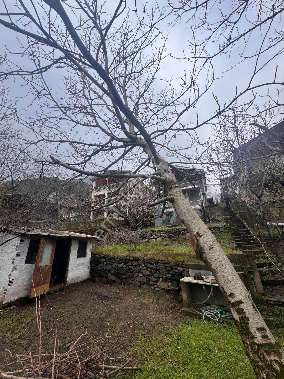 Geniş Bahçe, 2 Katlı Villa Ve Ek Yaşam Alanı Bir Arada! - Görsel 7