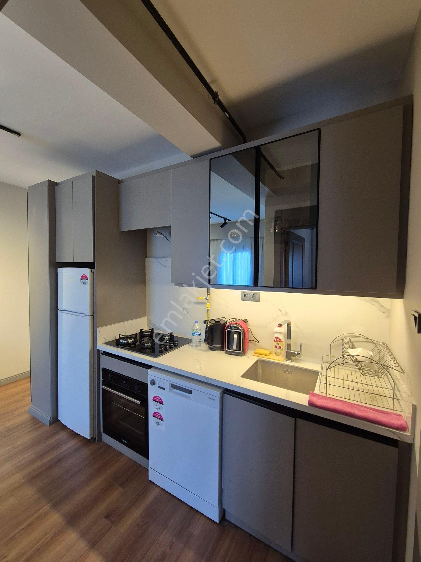 Özal Bulvarı Aksagaz Cıvarı 1+1 Full Eşyalı Az Katlı Doğalgazlı Kiralık Daire - Görsel 7