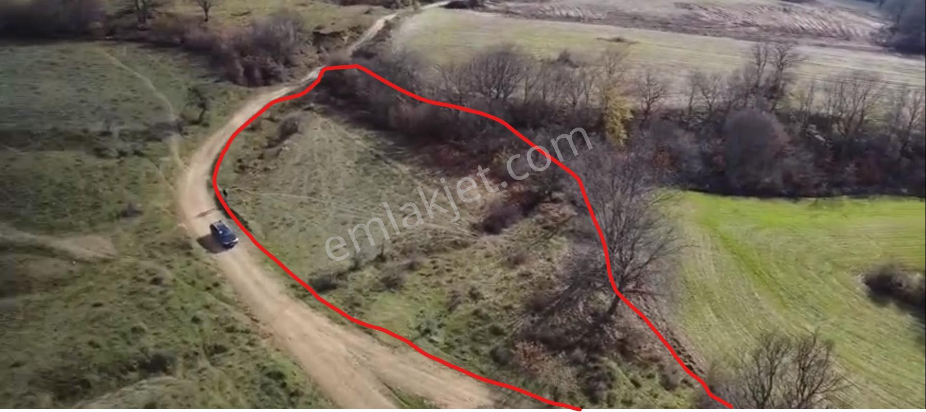 Kırklareli Merkez Kuzulu 2.993m2 Satılık Tarla - Görsel 7