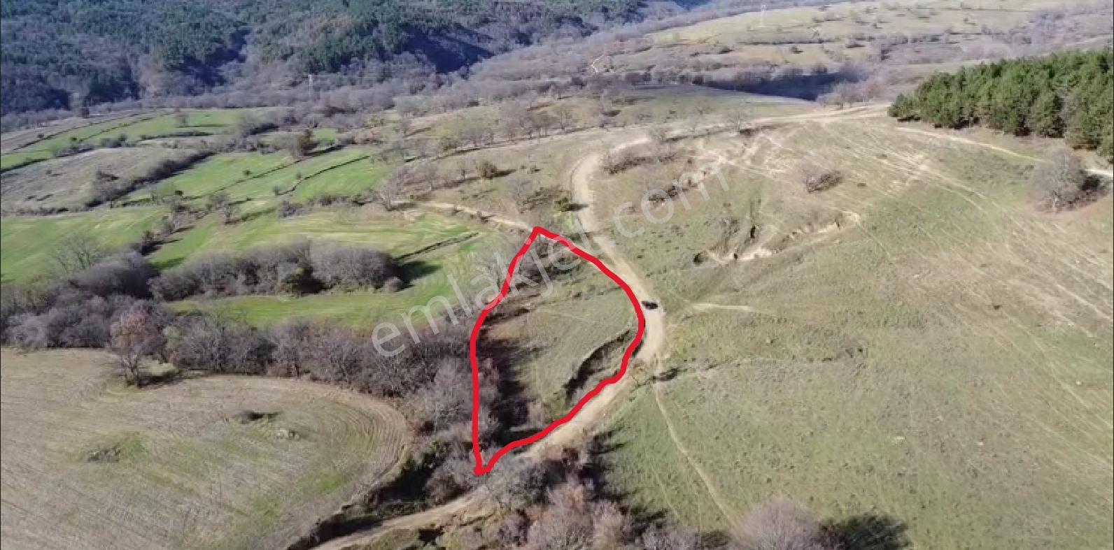 Kırklareli Merkez Kuzulu 2.993m2 Satılık Tarla - Görsel 5