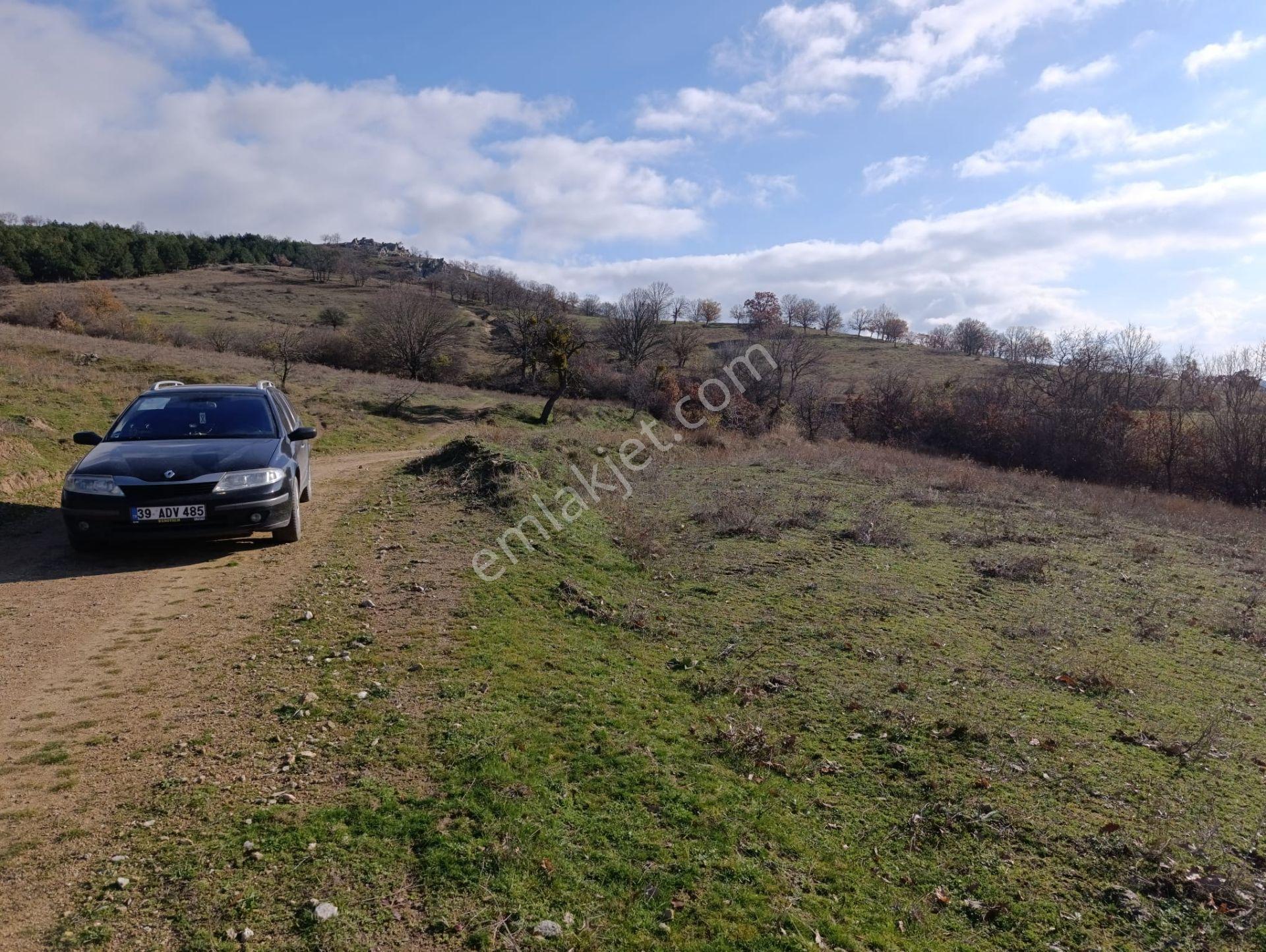 Kırklareli Merkez Kuzulu 2.993m2 Satılık Tarla