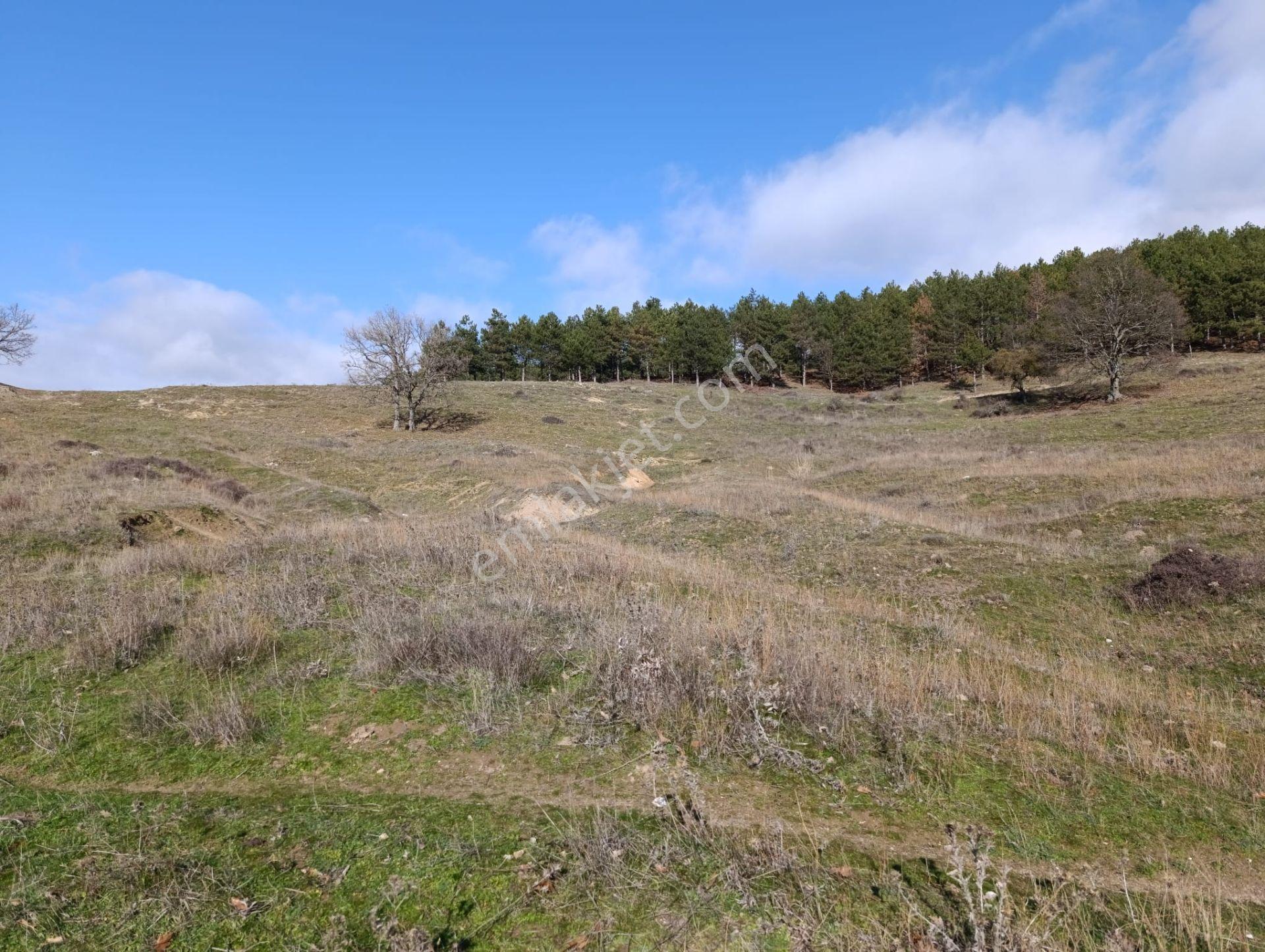Kırklareli Merkez 18.358m2 Çiftlik Yeri