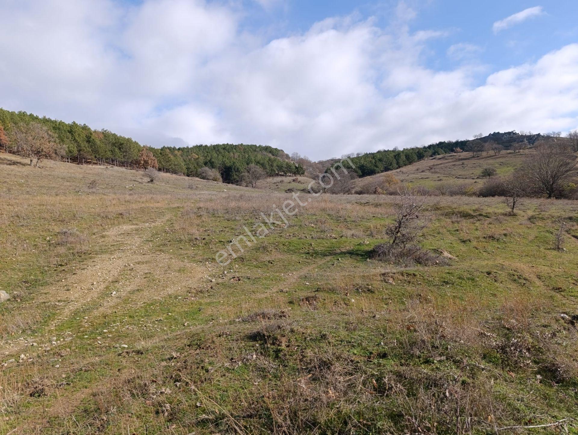 Kırklareli Merkez 18.358m2 Çiftlik Yeri - Görsel 3