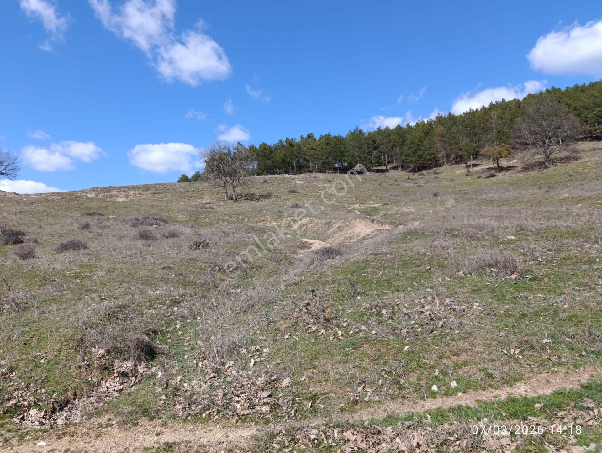 Kırklareli Merkez 18.358m2 Çiftlik Yeri - Görsel 9
