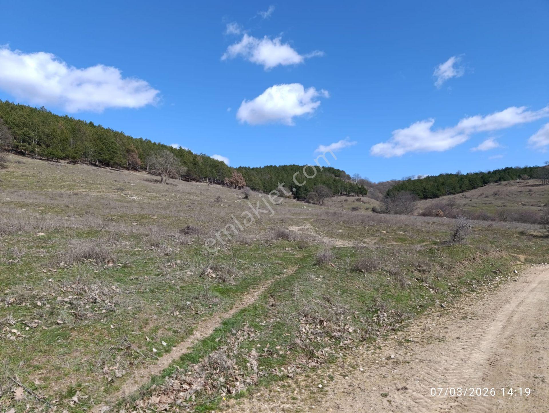 Kırklareli Merkez 18.358m2 Çiftlik Yeri - Görsel 5