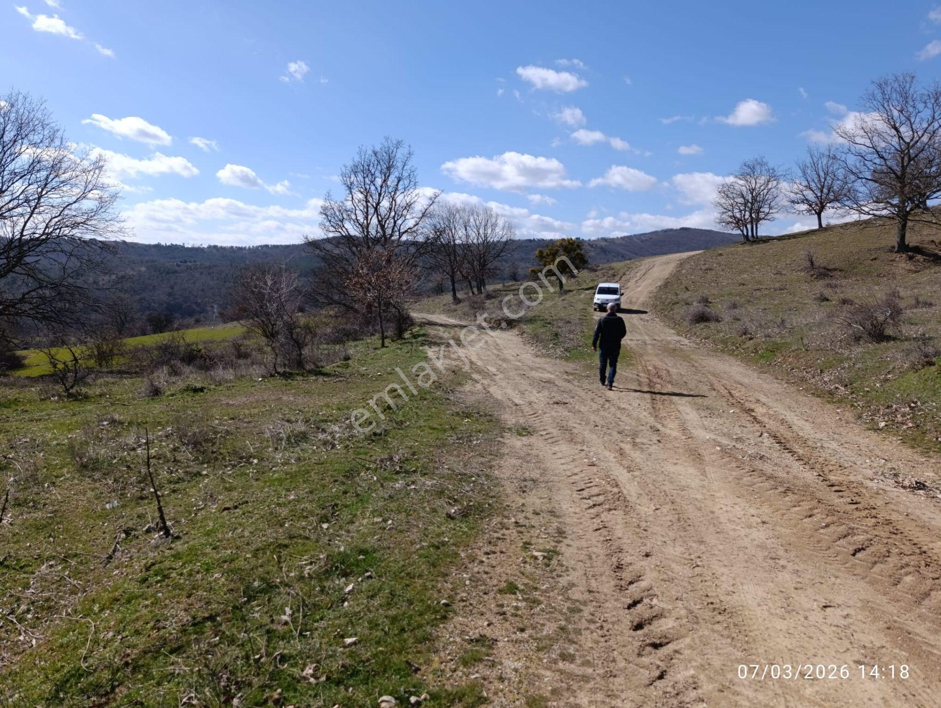 Kırklareli Merkez 18.358m2 Çiftlik Yeri - Görsel 7