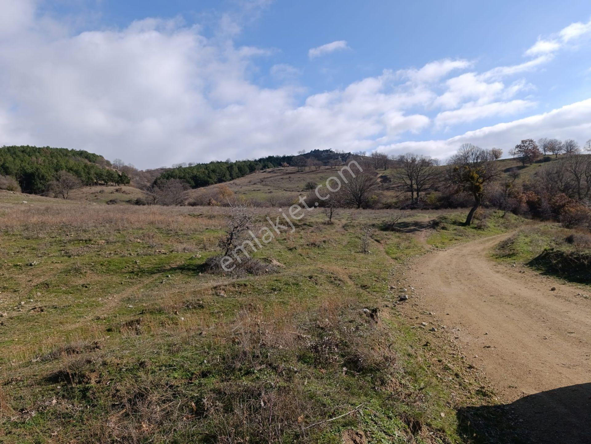 Kırklareli Merkez 18.358m2 Çiftlik Yeri - Görsel 2