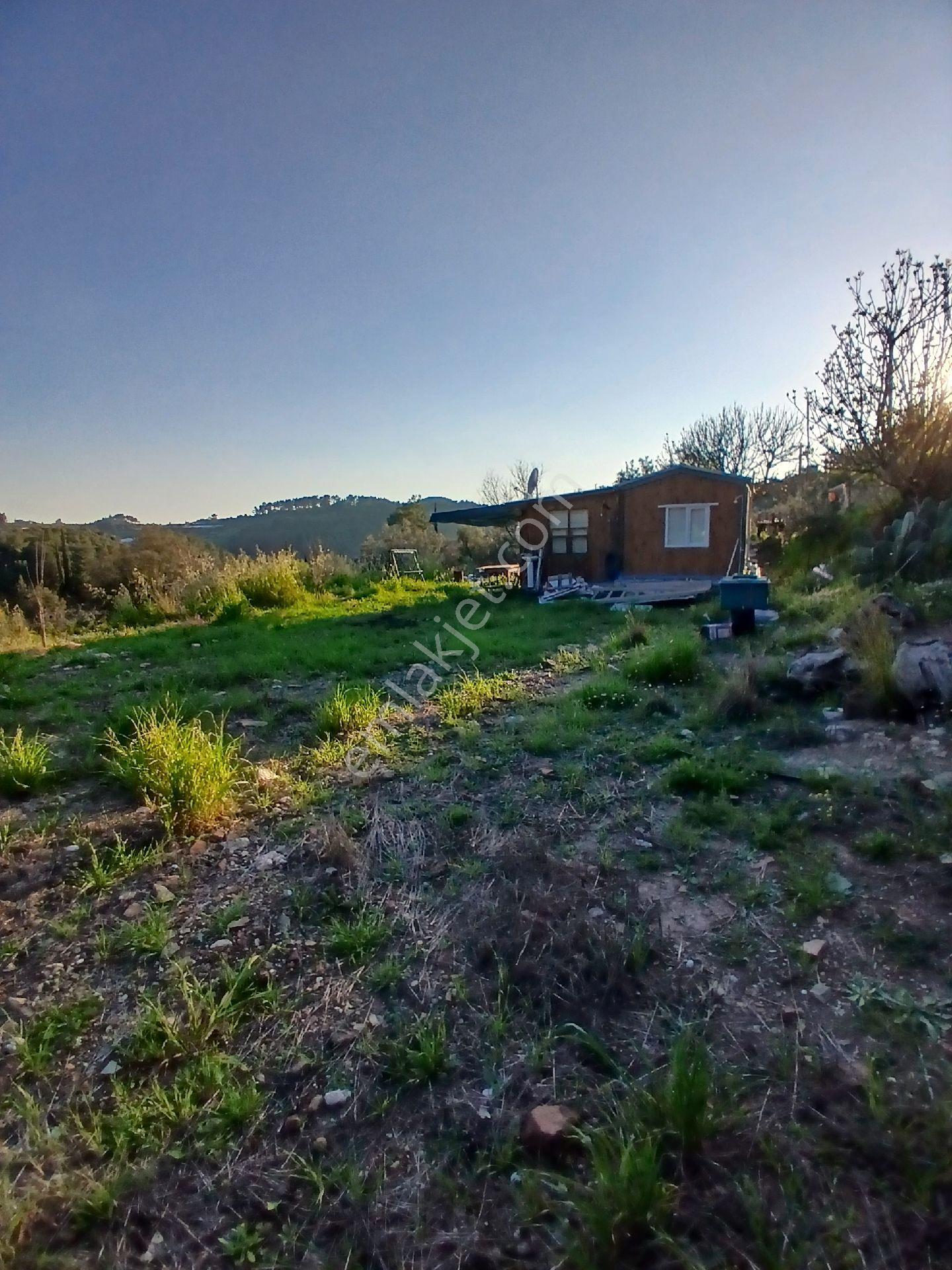 Erentepe Mahallesi Satılık Bahçe - Görsel 16