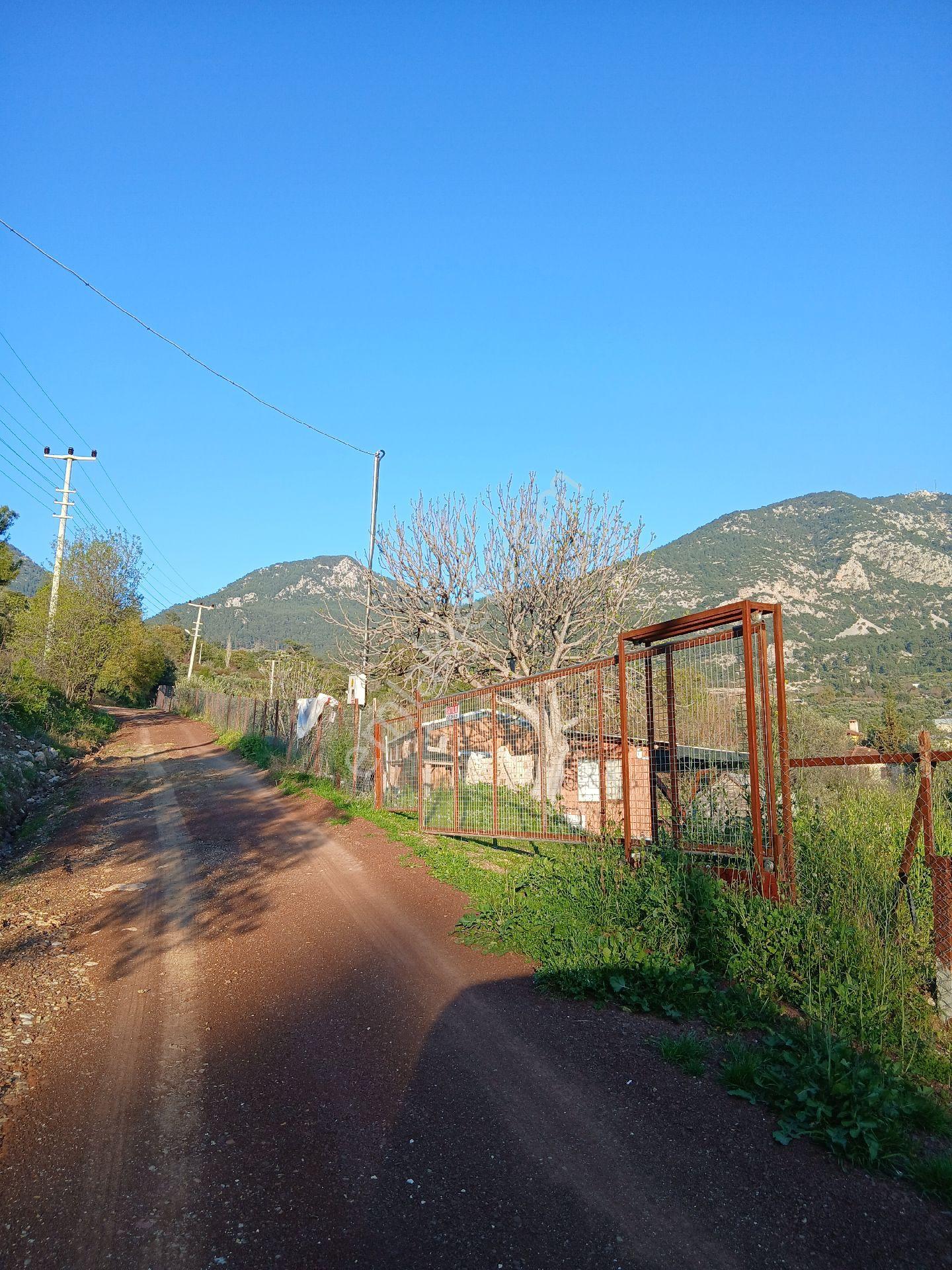 Erentepe Mahallesi Satılık Bahçe - Görsel 11