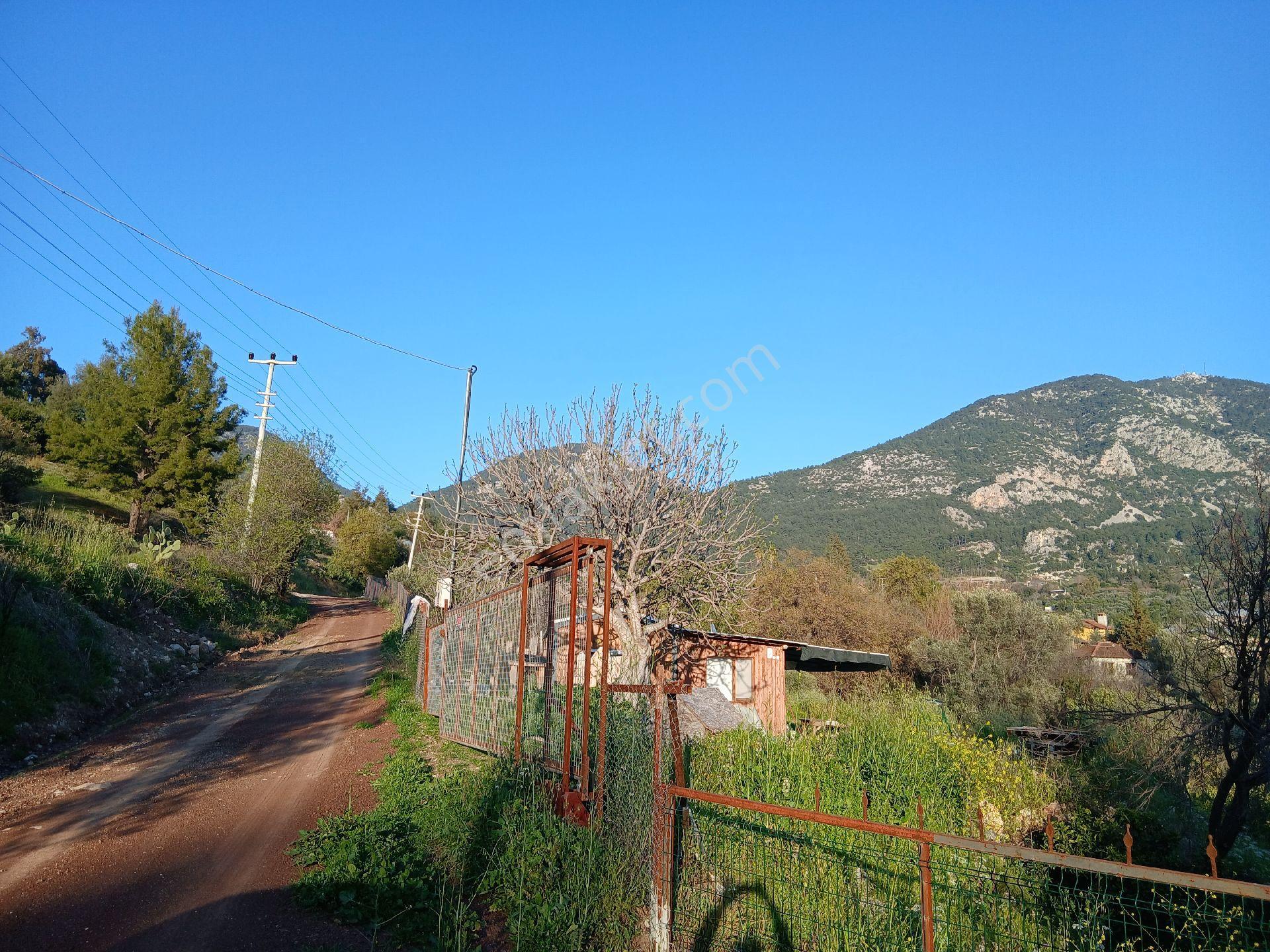 Erentepe Mahallesi Satılık Bahçe - Görsel 9
