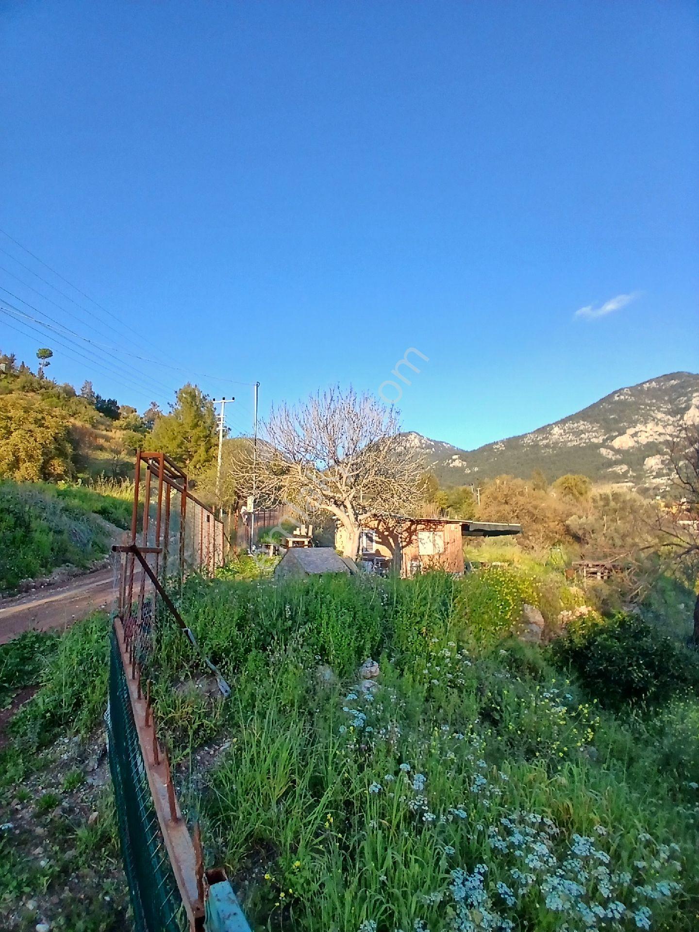 Erentepe Mahallesi Satılık Bahçe - Görsel 20