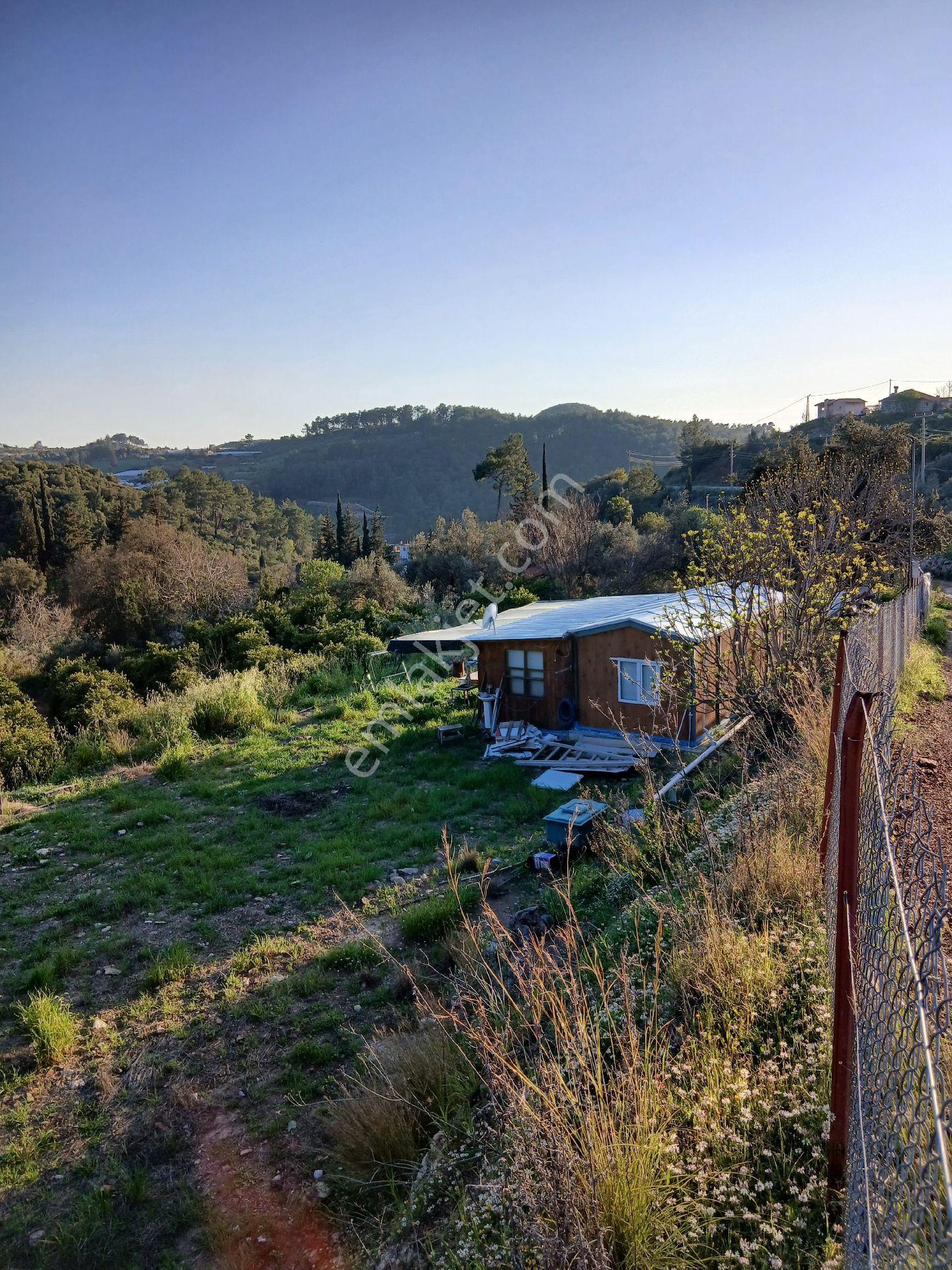 Erentepe Mahallesi Satılık Bahçe - Görsel 5