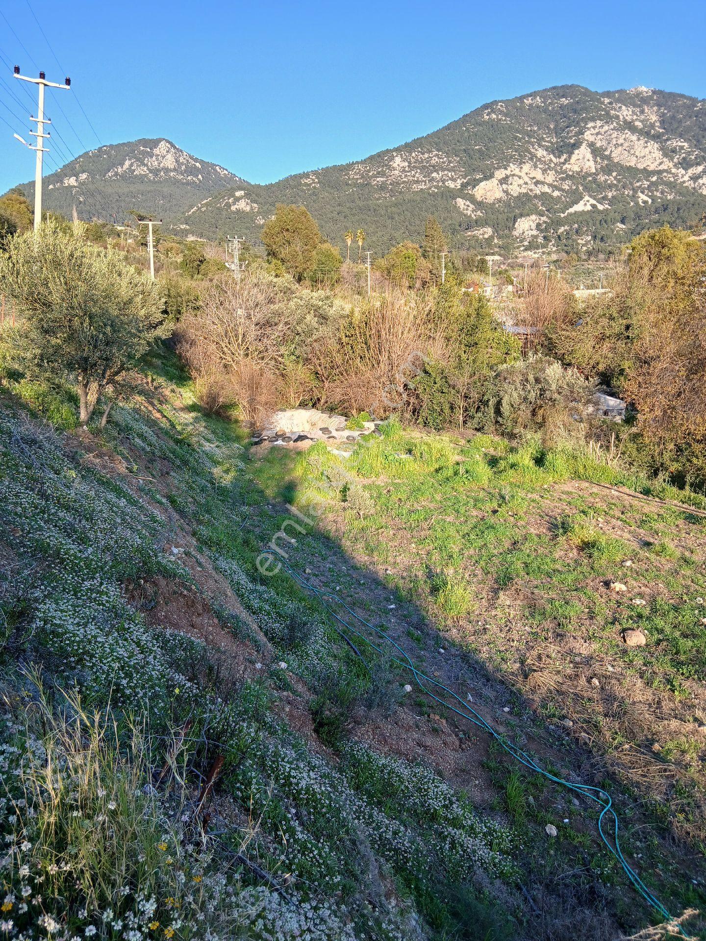 Erentepe Mahallesi Satılık Bahçe - Görsel 6