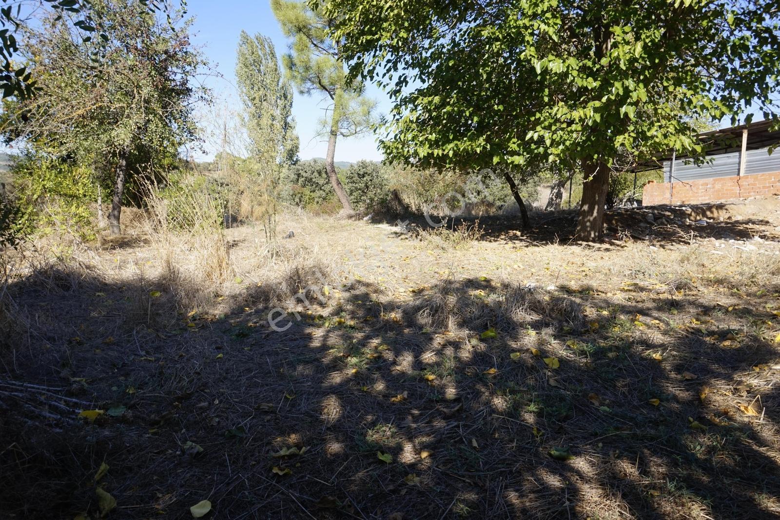 Bayramiç Zeytinli'de Köyiçi İmarlı 2.675 M2 Arsa - Görsel 15