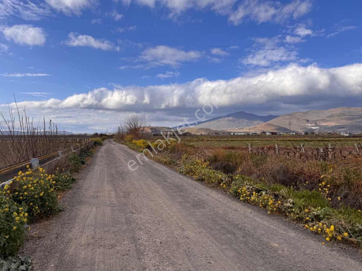 Menemen Çavuşköy Mahallesınde 6.600 M2 Yatırıma Uygun Tarla- Yolu Açık Ve Ulaşımı Kolay - Görsel 9