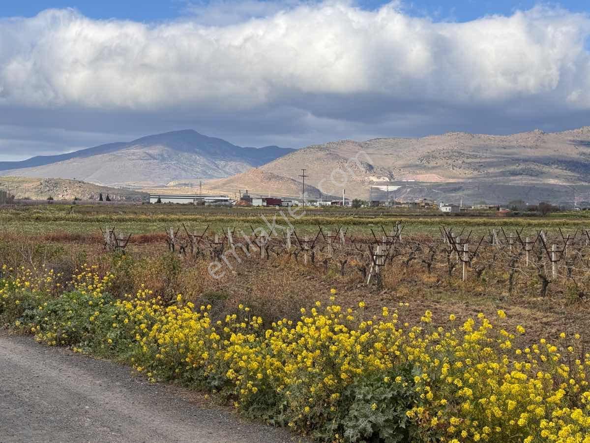 Menemen Çavuşköy Mahallesınde 6.600 M2 Yatırıma Uygun Tarla- Yolu Açık Ve Ulaşımı Kolay - Görsel 12