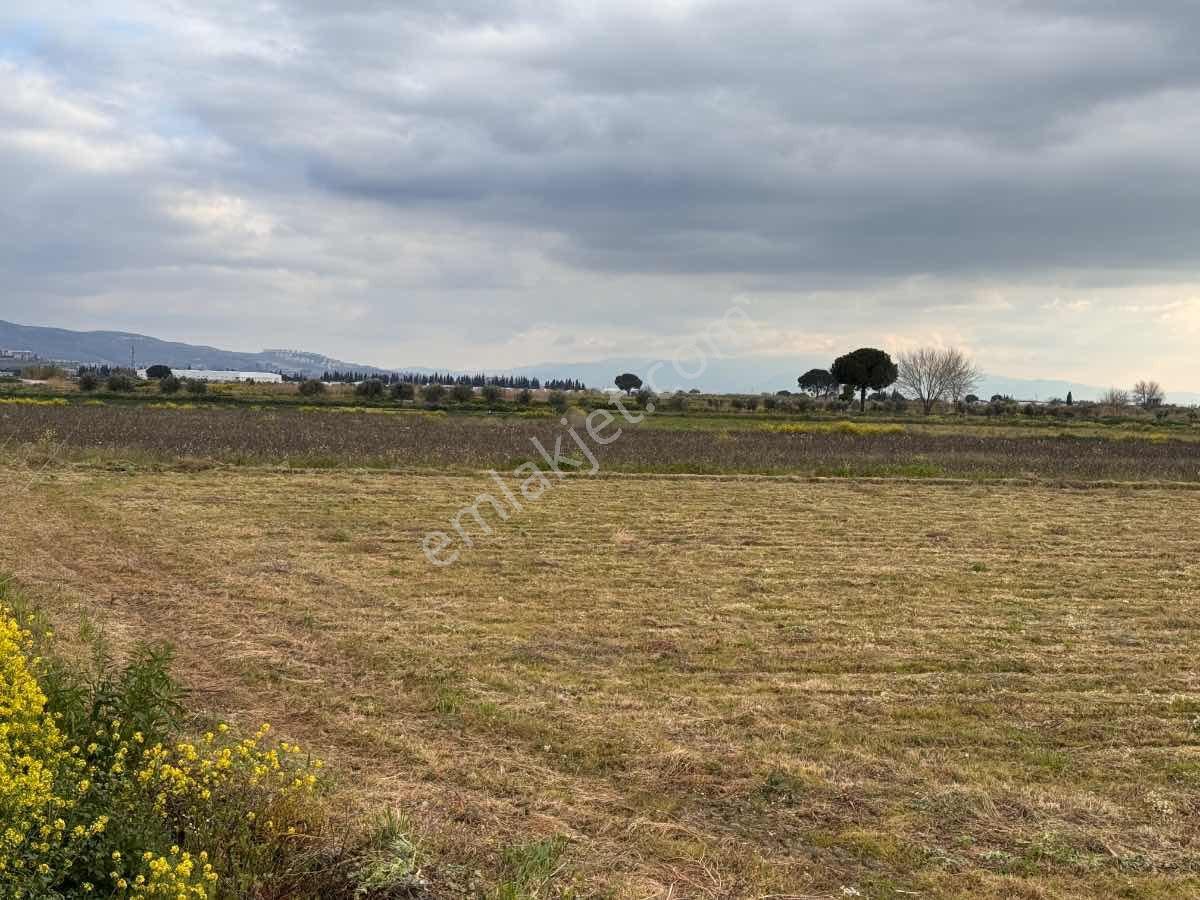 Menemen Çavuşköy Mahallesınde 6.600 M2 Yatırıma Uygun Tarla- Yolu Açık Ve Ulaşımı Kolay - Görsel 20