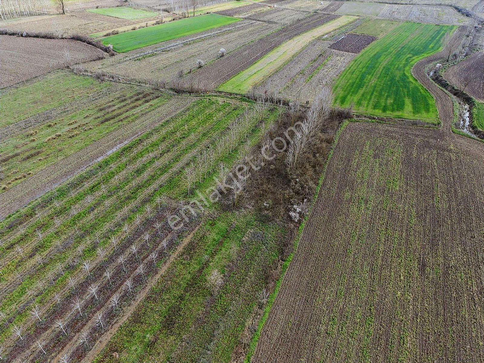 Emlak Evim - A.çalıcada Acil Satılık 535 M2 Tarla Araç Takas - Görsel 22