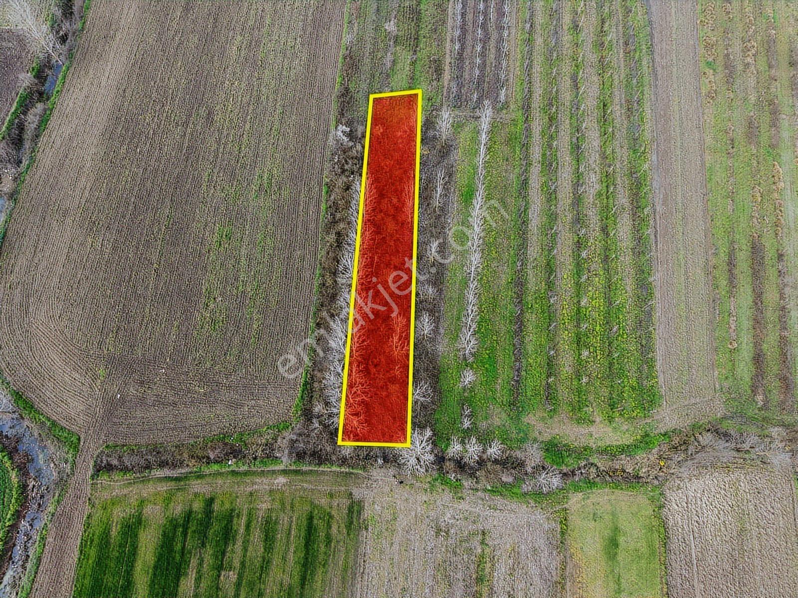 Emlak Evim - A.çalıcada Acil Satılık 535 M2 Tarla Araç Takas - Görsel 7