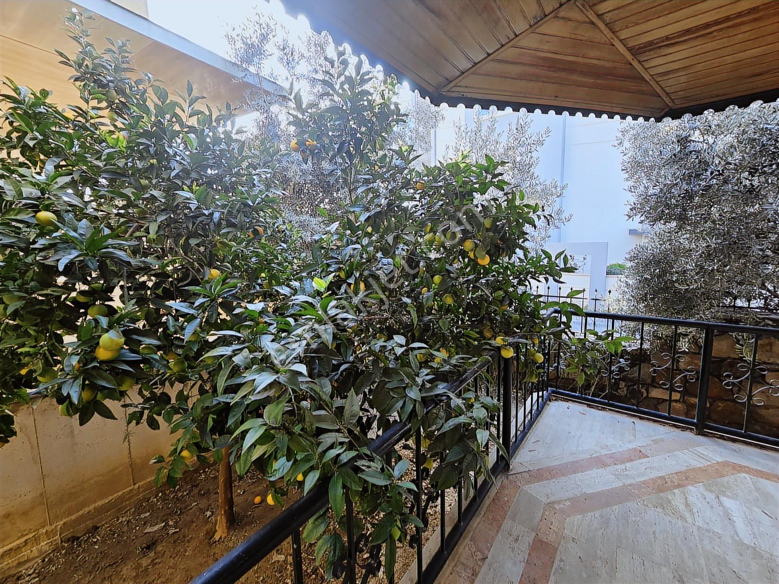 Alanya Avsallar Denize 700 Metre 5+1 Satılık Tribleks Villa - Görsel 14