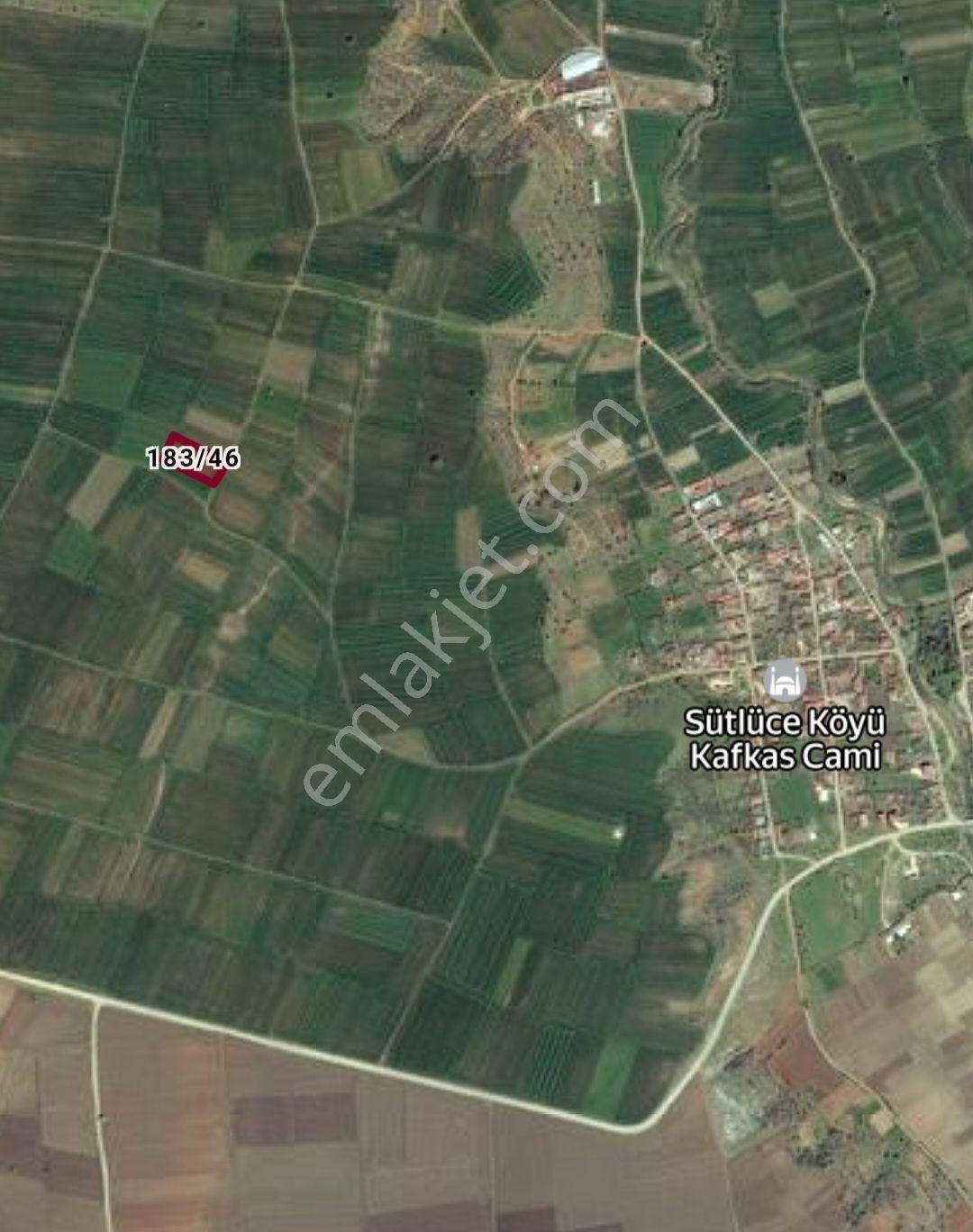Sütlüçe Köyün'de 2542 M2 Müstakil Tapulu Köye Yürüme Mesafesinde - Görsel 13