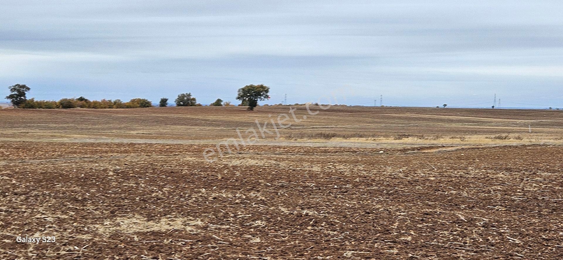 Sütlüçe Köyün'de 2542 M2 Müstakil Tapulu Köye Yürüme Mesafesinde - Görsel 20