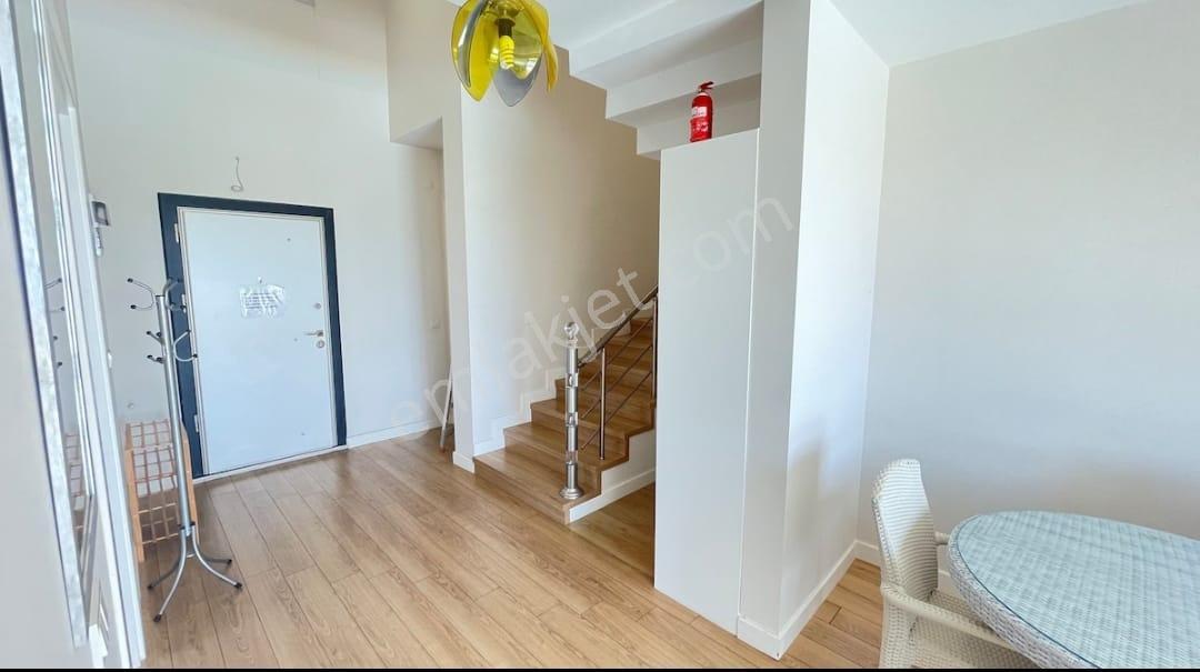 Turyap Çeşme Reisderede Kiralık Havuzlu Müstakil 3+1 Villa - Görsel 22