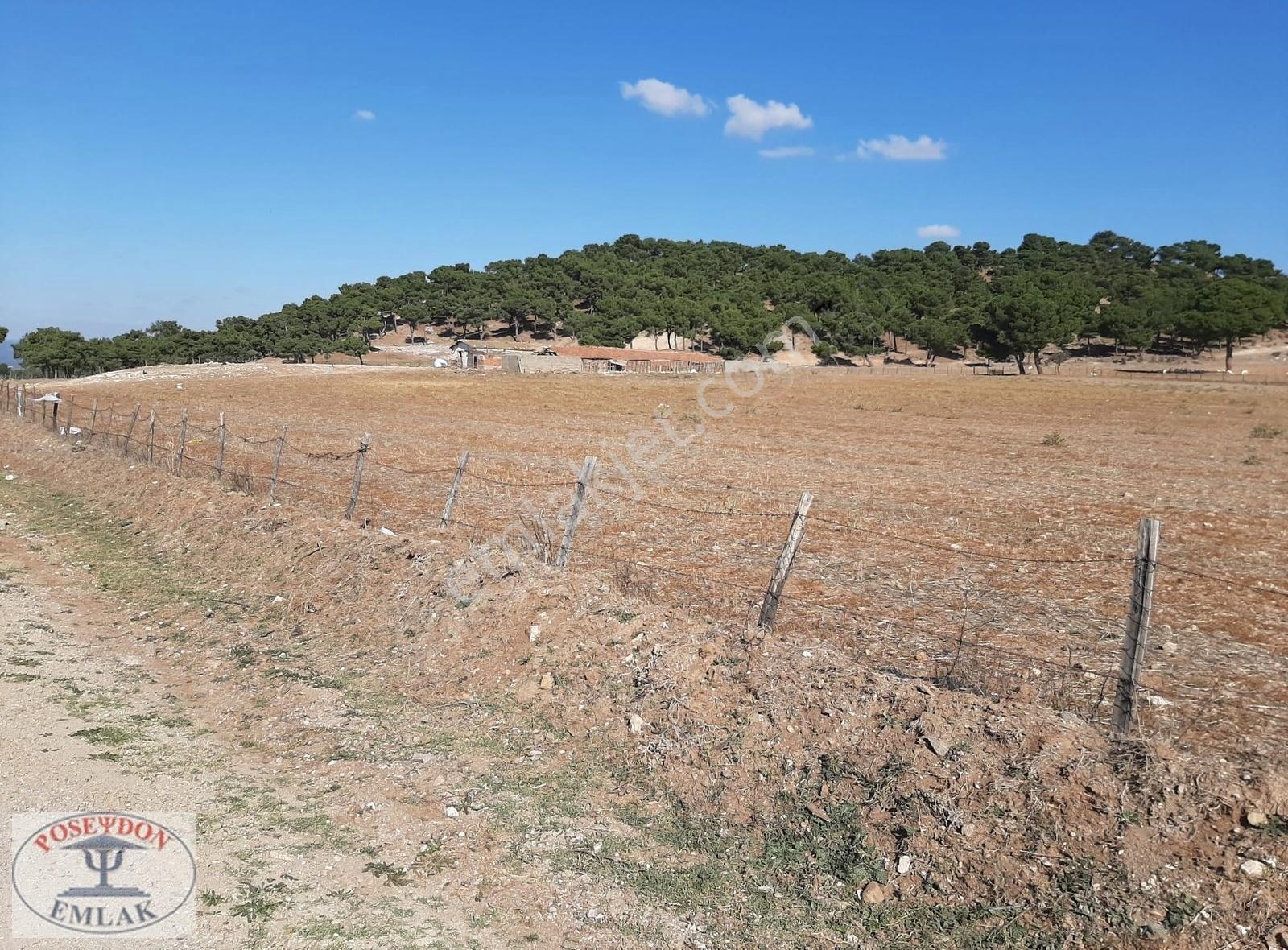 Kazdağları/bayramiç/türkmenli Köyünde 5.088 M2 Satılık Tarla - Görsel 8