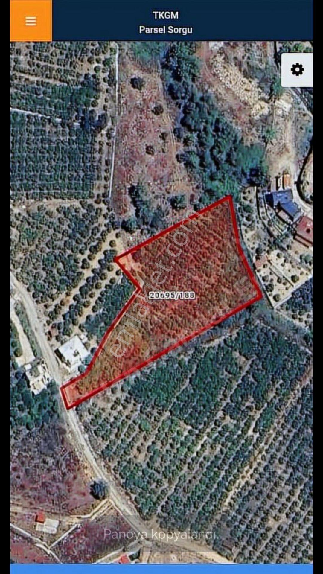 Konyaaltı Akdamlar’da 5.130 M² Gelir Getiren Nar Bahçesi Kiralık Dönümü 16.500 Tl