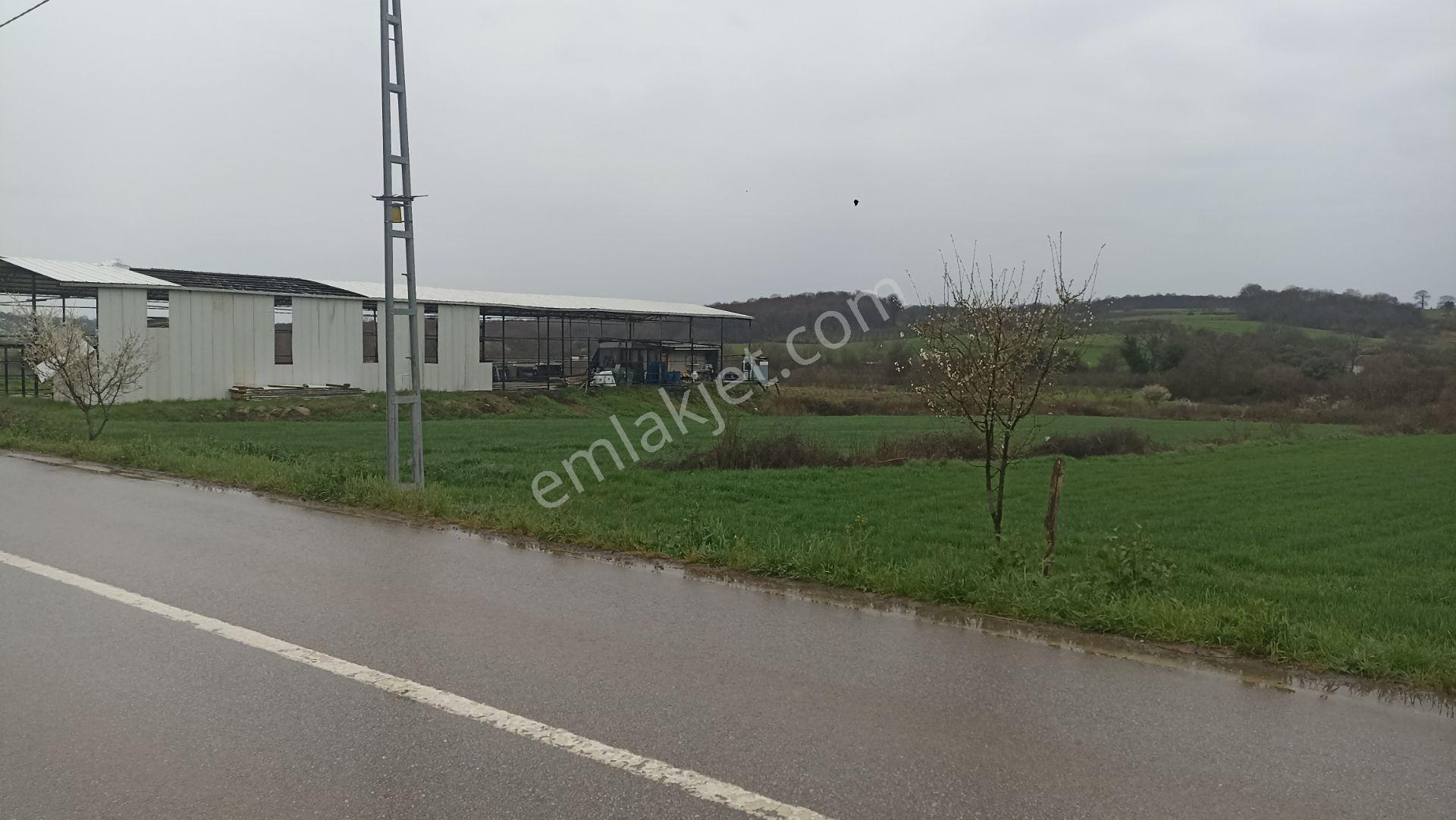 Remax Mavi 'den Kandıra Duraklı Mahallesi'nde Satılık Tarla - Görsel 24