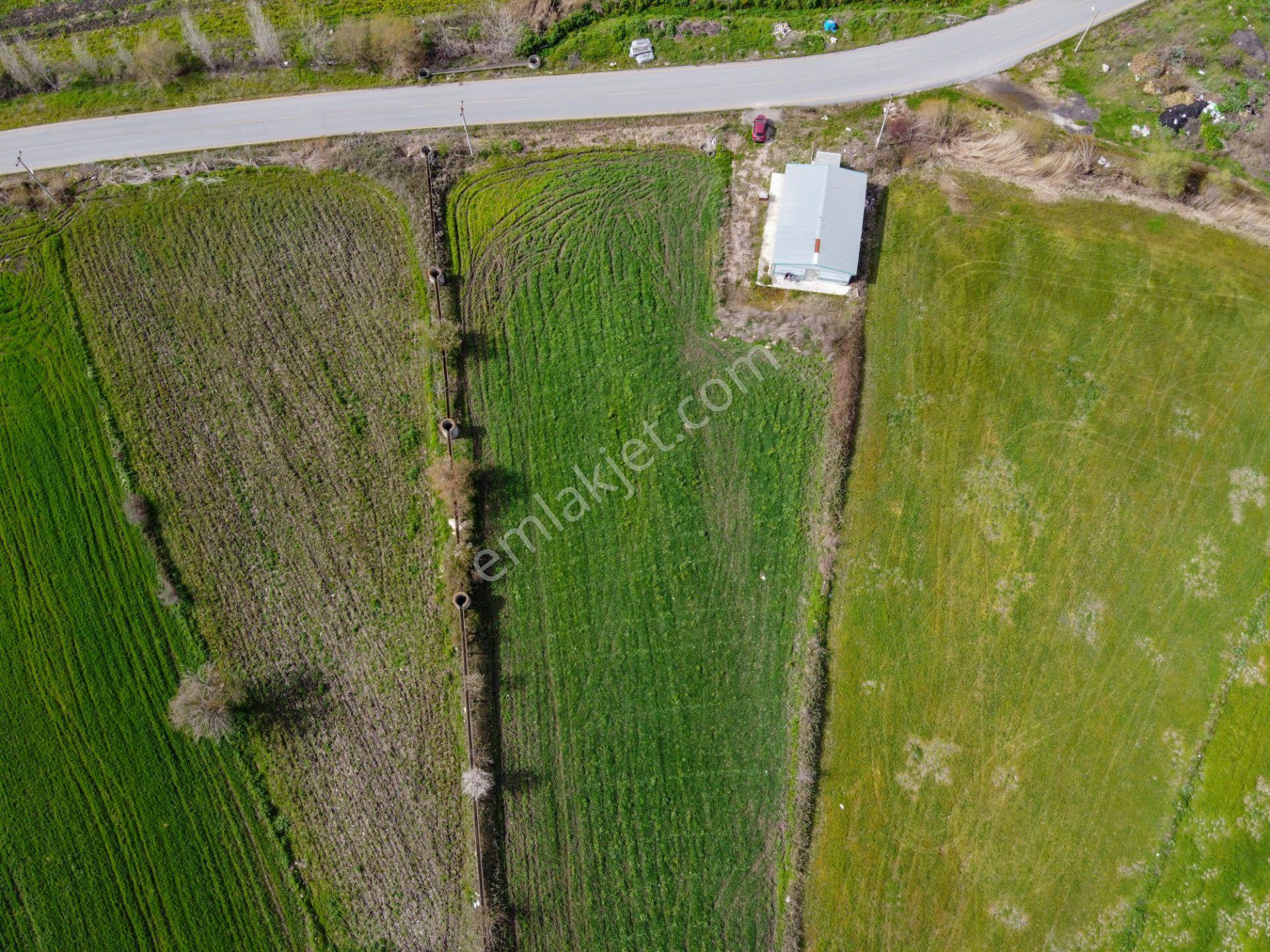 Kepsut Yenice Mah.de Kiralık Tarla Deposu İle Birlikte - Görsel 8